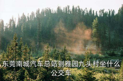 東莞南城雅園村視頻，東莞的南城雅苑的工業區郵編是多少