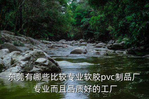 東莞有哪些比較專業(yè)軟膠pvc制品廠 專業(yè)而且品質(zhì)好的工廠