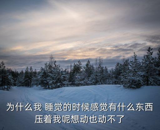 你睡覺的時(shí)候,你睡著的時(shí)候韓劇劇情
