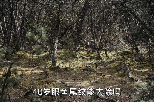 光波除皺,做魚尾紋除皺手術切口線設計通常采用臀部除皺用割口線