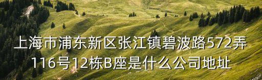 上海市海華科技有限公司，上海市浦東新區張江鎮碧波路572弄116號12棟B座是什么公司地址