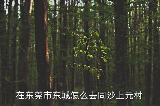 東莞附城鎮同沙工業區上元村，在東莞市東城怎么去同沙上元村