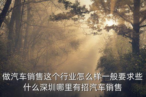 做汽車銷售這個行業怎么樣一般要求些什么深圳哪里有招汽車銷售