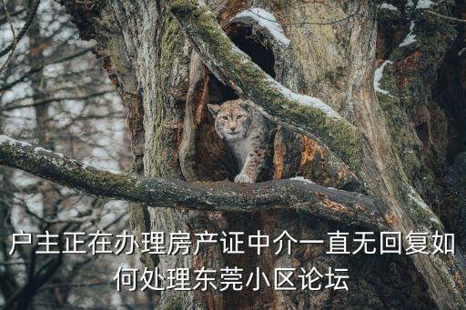 戶主正在辦理房產證中介一直無回復如何處理東莞小區論壇