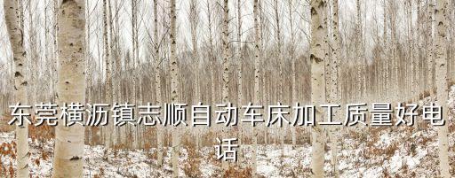 東莞橫瀝鎮志順自動車床加工質量好電話