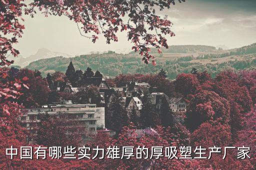 深圳吸塑片材廠家，深圳有哪些需要吸塑包裝的工廠