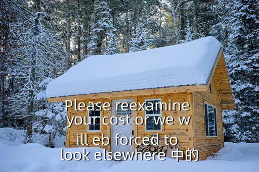 上海市工商聯(lián)13屆執(zhí)委會，Please reexamine your cost or we will eb forced to look elsewhere 中的