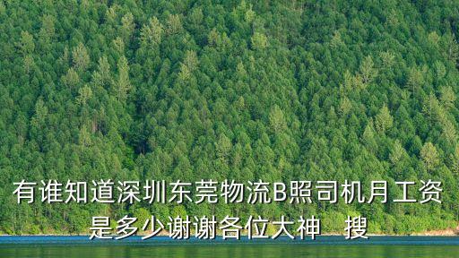 有誰知道深圳東莞物流B照司機月工資是多少謝謝各位大神   搜
