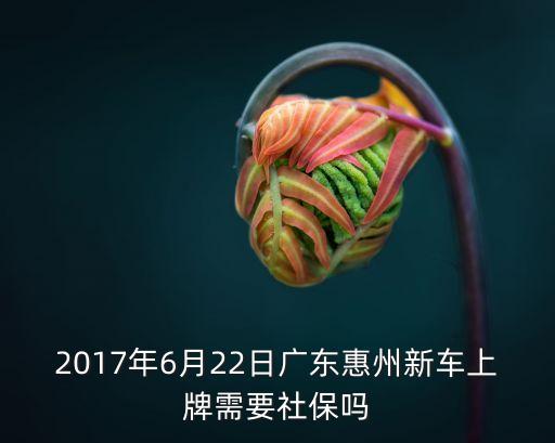 惠買車為什么都是廣州提供，汽車報價大全的軟件功能