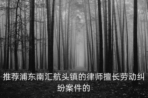 上海市勞動爭議典型案例，推薦浦東南匯航頭鎮(zhèn)的律師擅長勞動糾紛案件的