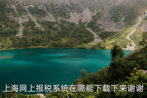 上海市名稱自助申報(bào)系統(tǒng)，滬友申報(bào)系統(tǒng)V20哪里可以下載