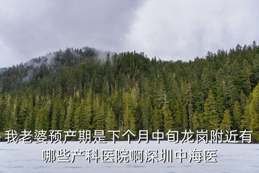 我老婆預產期是下個月中旬龍崗附近有哪些產科醫(yī)院啊深圳中海醫(yī)