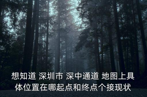深中通道深圳入口，深中通道的建設背景