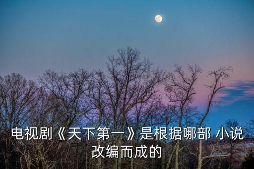 高圓圓小說,娛樂之最強明星陪玩