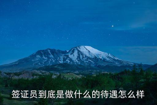 簽證員到底是做什么的待遇怎么樣