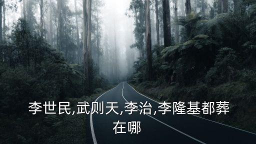 李世民墓,唐太宗李世民昭陵是關中十八陵中最大的一座陵墓