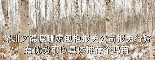 深圳代理包柜報關，深圳文錦渡哪家包柜報關公司報關行好有優勢可以具體推薦個嗎百