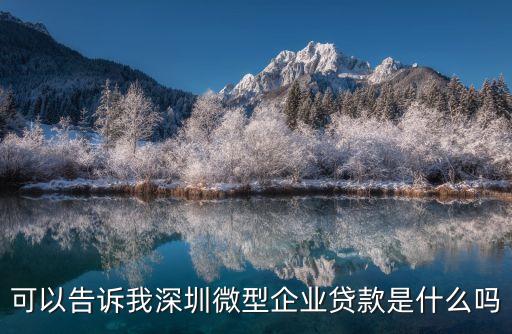 可以告訴我深圳微型企業貸款是什么嗎