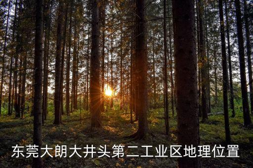 東莞大朗大崗頭村，誰在東莞大朗大井頭第二工業區