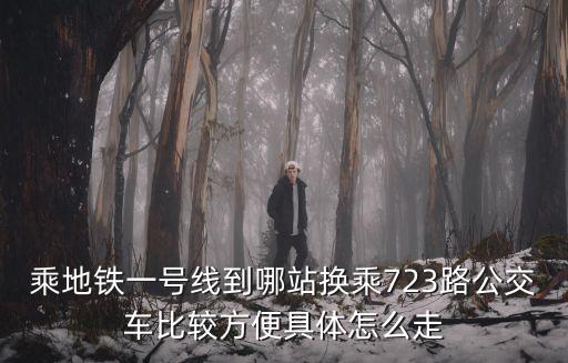 深圳平湖富婆，龍華三和人才市場怎么去