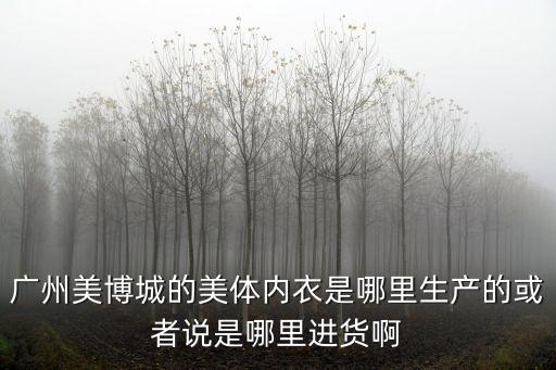 廣州美博城內調產品，廣州美博城的美體內衣是哪里生產的或者說是哪里進貨啊