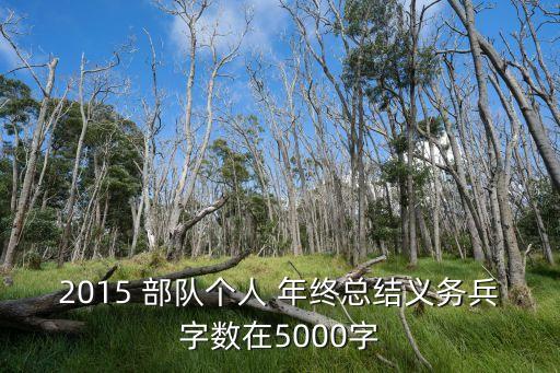 部隊年終工作總結,一年工作已結束部隊年終總結供參考