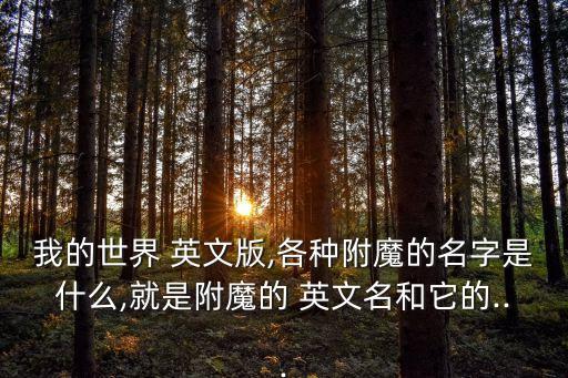 我的世界 英文版,各種附魔的名字是什么,就是附魔的 英文名和它的...