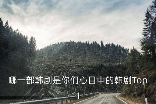 哪一部韓劇是你們心目中的韓劇Top1