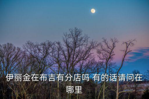 深圳伊麗金，伊麗金在布吉有分店嗎 有的話請問在哪里