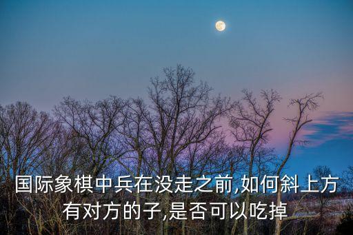 國(guó)際象棋中兵在沒(méi)走之前,如何斜上方有對(duì)方的子,是否可以吃掉