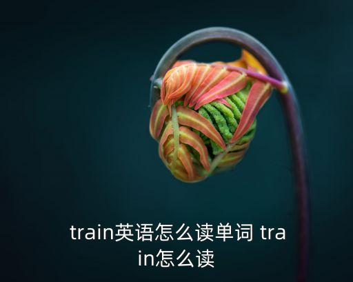 train怎么讀,武漢出現確診病例湖北出現第一起病例