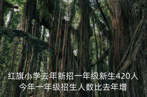 紅旗小學去年新招一年級新生420人今年一年級招生人數比去年增