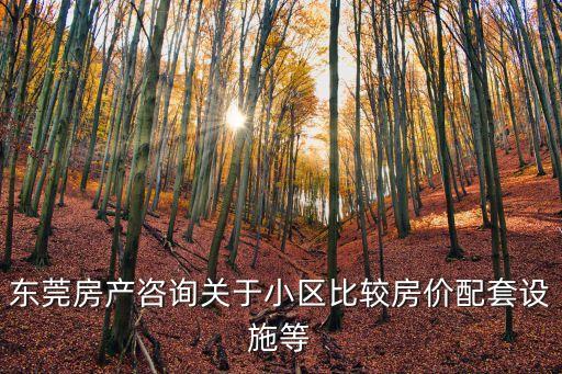 東莞和昌眾筑中央園住房，這樣算第一套房嗎東莞小區論壇