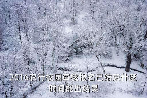 2016農行校園審核報名己結束什麼時間能出結果