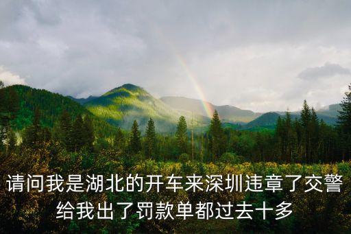 請問我是湖北的開車來深圳違章了交警給我出了罰款單都過去十多