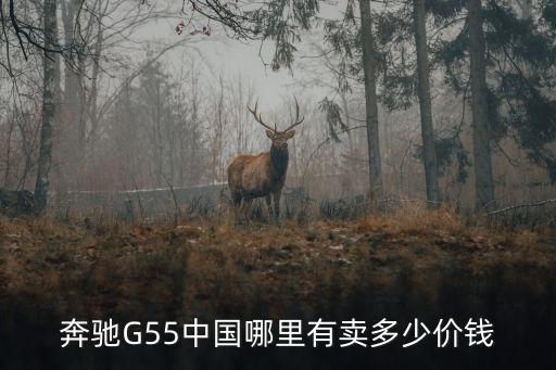 奔馳G55中國哪里有賣多少價(jià)錢