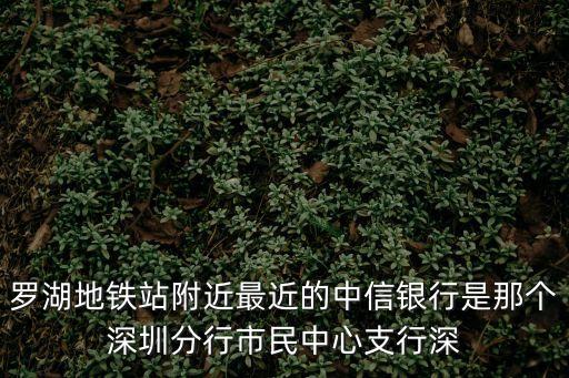 深圳市 瑞利達 合力，羅湖地鐵站附近最近的中信銀行是那個深圳分行市民中心支行深