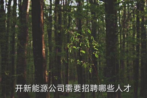 深圳市金賽爾新能源有限公司招聘，開新能源公司需要招聘哪些人才
