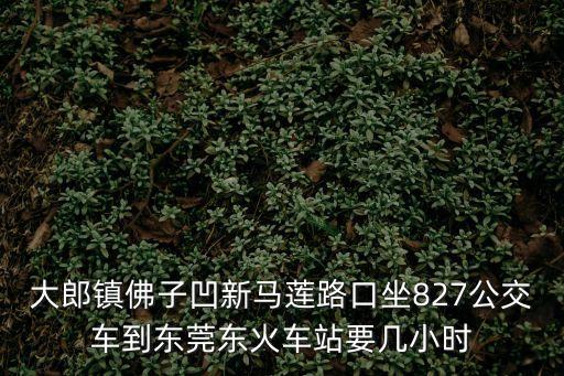 大郎鎮(zhèn)佛子凹新馬蓮路口坐827公交車到東莞東火車站要幾小時