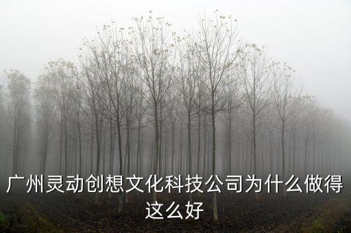 廣州靈動創(chuàng)想謝國平，靈動創(chuàng)想公司的現(xiàn)任董事長是誰