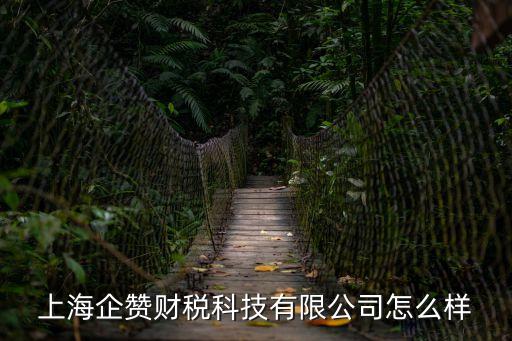 上海市財務(wù)科技有限公司怎么樣，上海哪家財務(wù)公司比較好