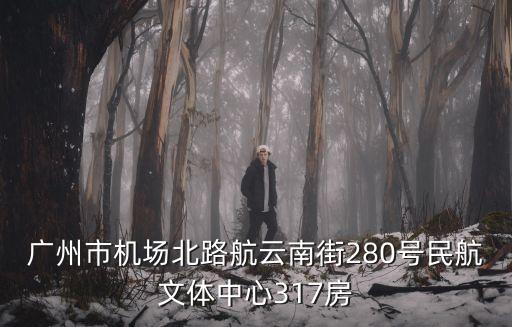 廣州市機(jī)場北路航云南街280號民航文體中心317房