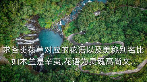 求各類花草對應(yīng)的花語以及美稱別名比如木蘭是辛夷,花語為靈魂高尚文...