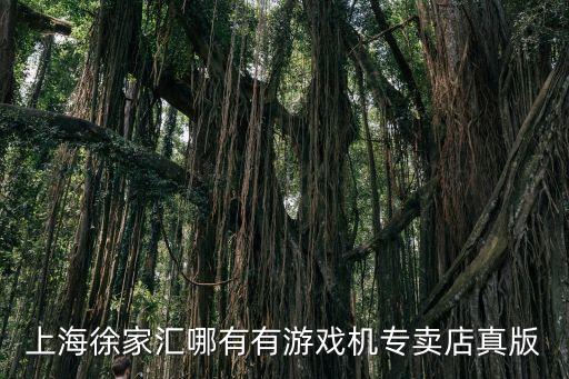 上海市游戲機(jī)專賣實(shí)體店，上海徐家匯哪有有游戲機(jī)專賣店真版