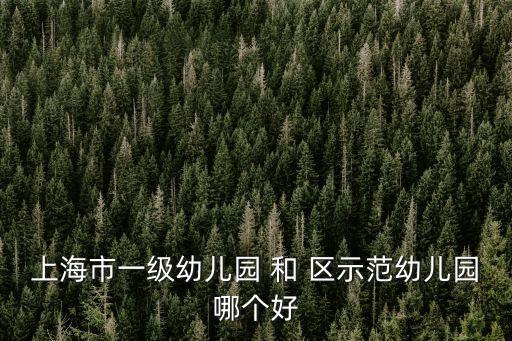 上海市一級幼兒園 和 區(qū)示范幼兒園哪個(gè)好