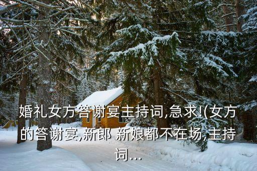 一億娶來的新娘,《塔吉克新娘》這副畫怎么看?