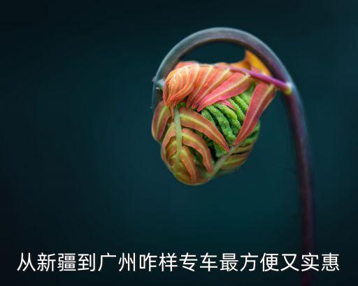 從新疆到廣州咋樣專車最方便又實(shí)惠