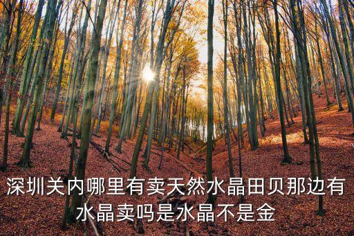 深圳關內哪里有賣天然水晶田貝那邊有水晶賣嗎是水晶不是金