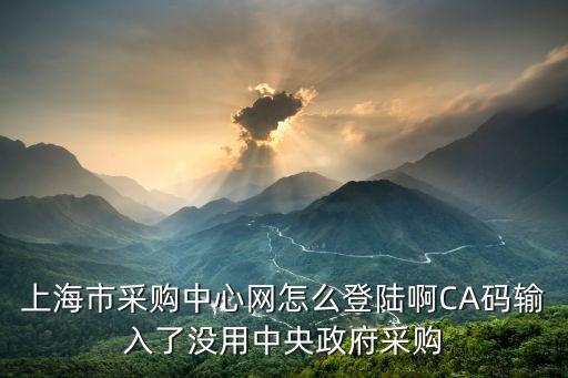 上海市采購中心網怎么登陸啊CA碼輸入了沒用中央政府采購