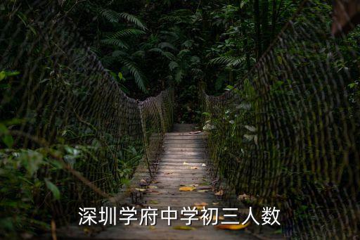 深圳學府中學初三人數